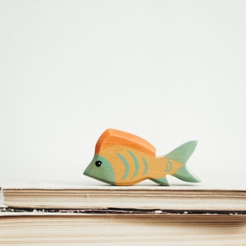 Swimming Goldfish